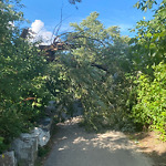 Tree Debris Clean-Up Request at Von Steuben Metropolitan Science Center, 5035 N Kimball Ave