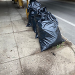 Clean and Green Program Request at 1787 W Touhy Ave, Chicago, Il 60626, United States
